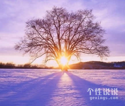 2021年最好的微信昵称