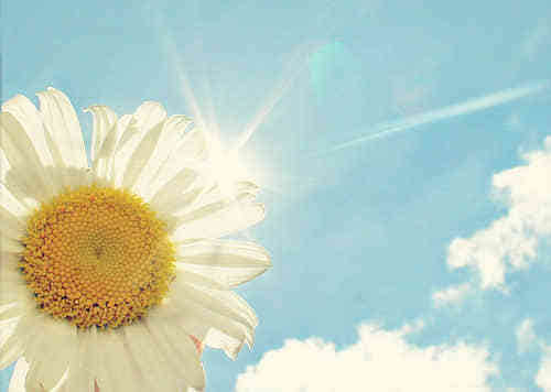 非常帅气的网名大全、忐忑不定的乐谱