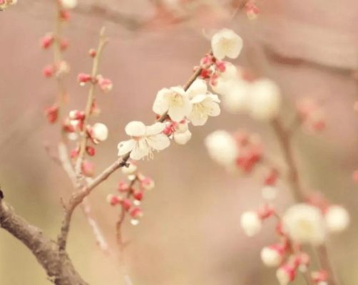 优雅不俗的情侣网名2021