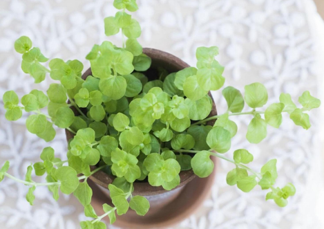 灿烂的网名_V丶show丨概念