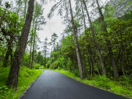 好听的大叔网名