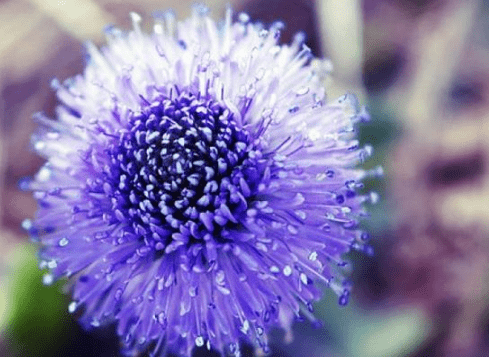 卡哇伊的网名_EXO、与你同在