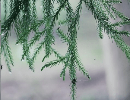 2021八月去全新微信网名寓意好--莪狠好，请你别再用一