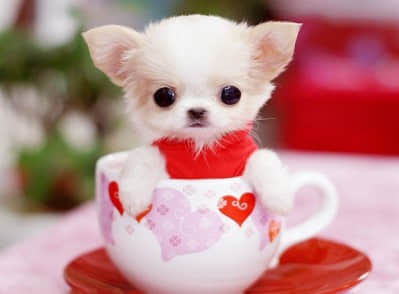 网名2021最火爆男伤感 当我知道你们相爱