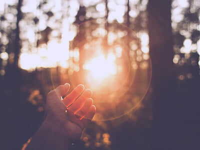 最流行的网名、先礼后兵