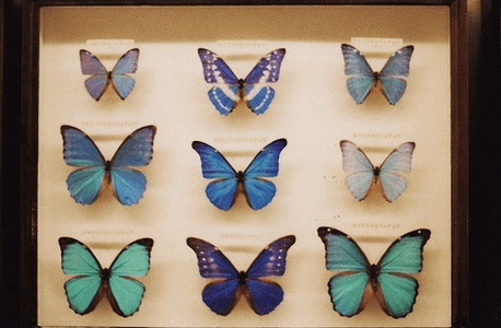 吸引人的军团名字大全