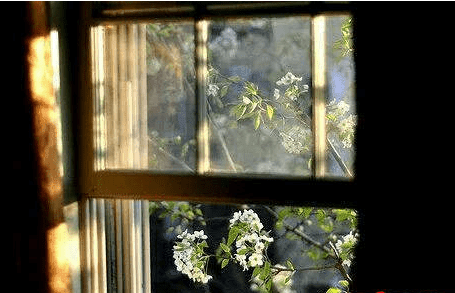 带财运的微信名字大全、GUIN