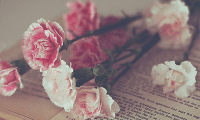 触景生情的网名--蝴蝶兰州悠悠过