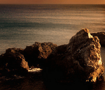 沙雕逗比不失优雅的网名女生精选