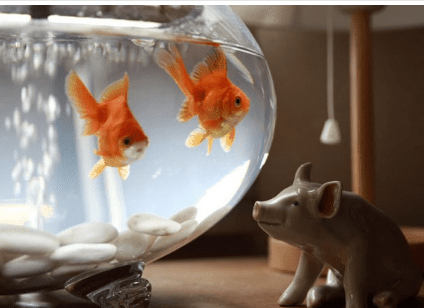 情侣网名2021最新版