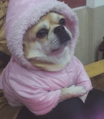 好听的昵称女生古风 搁浅的爱&deg;