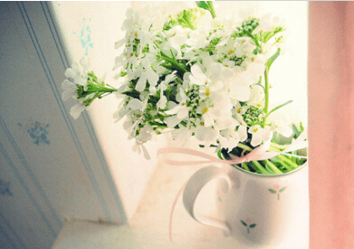 2015qq个性网名--完全抵抗