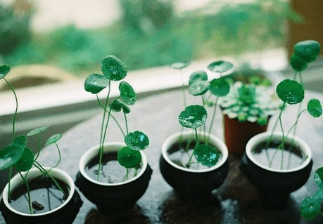 2021最潮网名女生