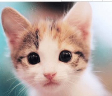 微信网名女生简单气质昵称