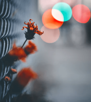 平平淡淡简简单单的微信网名 刀枪冷无情