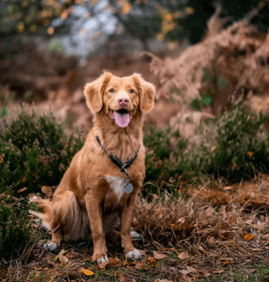 网名大全2023最新版个性