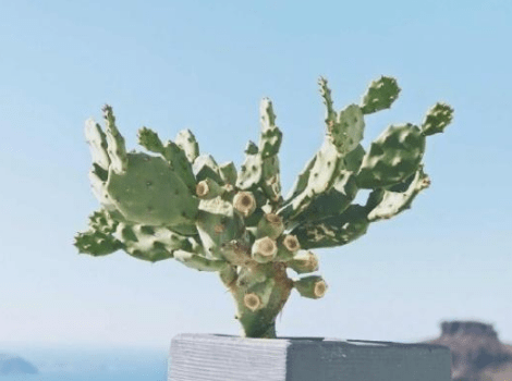 2021年带来好运的网名、贱到爆炸