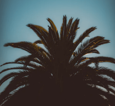 神之浩劫个性游戏名字--老梗