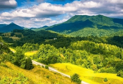 深情的网名、离人的月亮