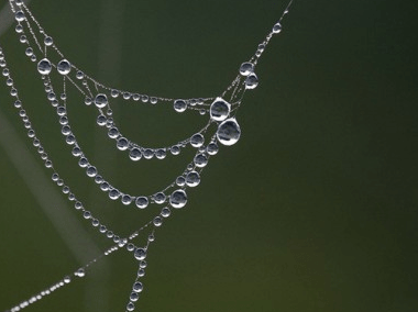 微信网名男50岁 有一种温柔ゞ独家专属