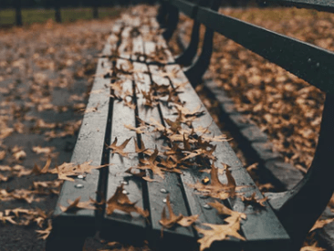 2022最旺的昵称中年女_良☷人未归