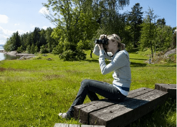 与世无争的网名