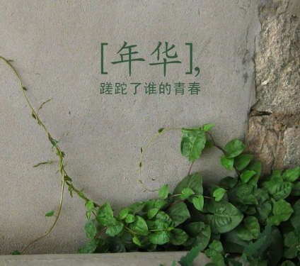 2021最火特殊符号网名--【強迫癥動物園長】