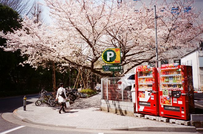 暖暖的女生网名2021、夜幕垂