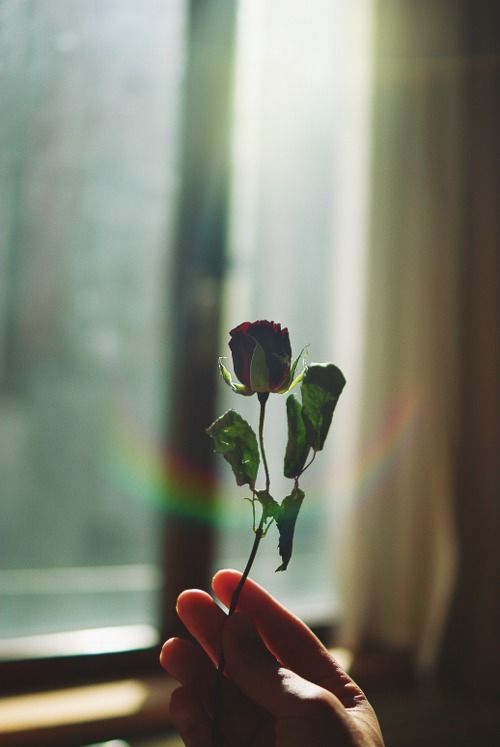 抖音名字昵称男霸气