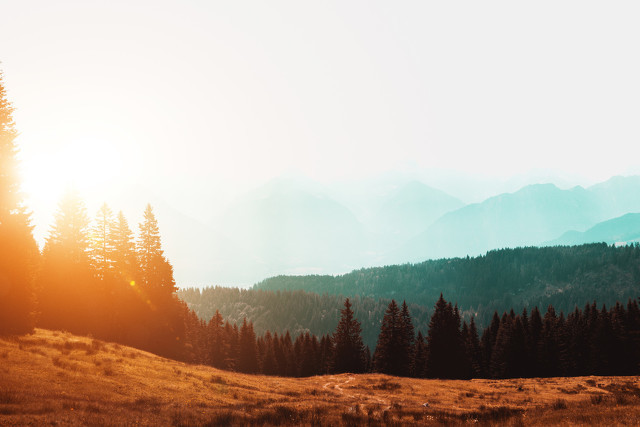 励志向上的微信网名精选