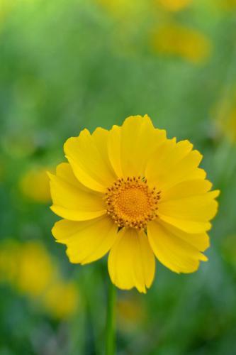 情人节晒男朋友的说说、我路过了全世界，却只