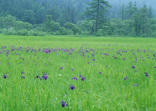 5月20日表白说说 超拽高冷句子