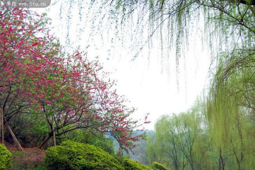 儿童节搞笑说说 穿开档裤 **你们拿着歌声情人