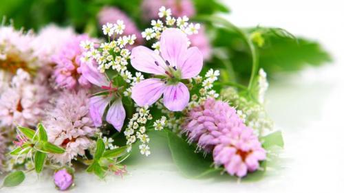 情人节该怎么祝福朋友_不想上班了！！！想出