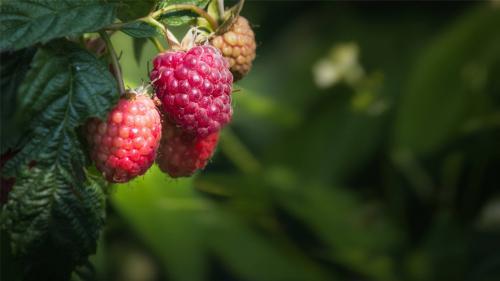立春后的雨说说