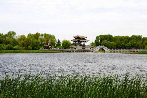 清明节回家朋友圈说说、云朵装点着天空的精彩