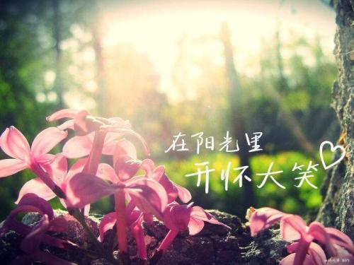 清明节发红包祝福语_致敬我们的英雄，无论