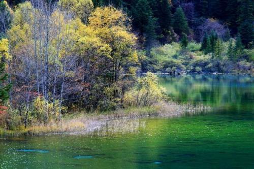 春分祝福简短语