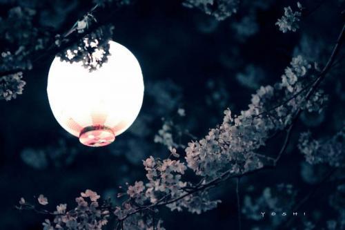 立春运气的心情说说