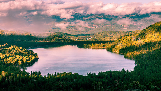 情人节看电影说说 如果我早知道我现在会