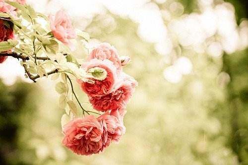 女生霸气微信个性签名00后 愿陪你一览清风，了却--愿陪你一览清风