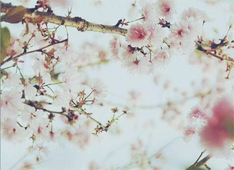 2021最新简洁好听的女生qq个性签名 我就喜欢你