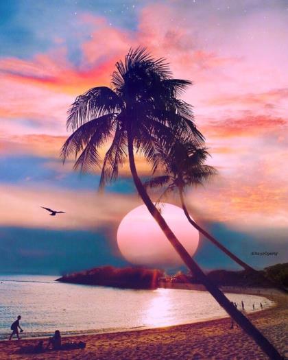 2021年时尚个性签名、爱情，本就是件宁缺勿_爱情