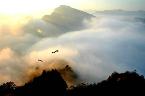 2021新年推荐幸福个性签名、故作坚强是因为你其实