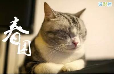 2021女生经典签名短句