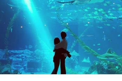 2021最催泪的qq空间女生伤感签名_别看我是一粒盐，发了_别看我是一粒盐