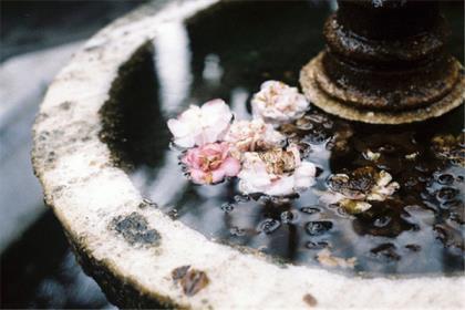 2021最新版超拽个性签名女生霸气、你一进美容院