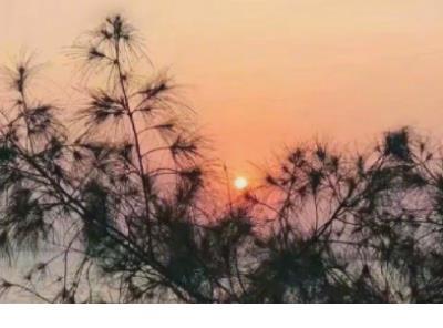 最新微信伤感个性签名2021--聚也不是开始，散也不_聚也不是开始