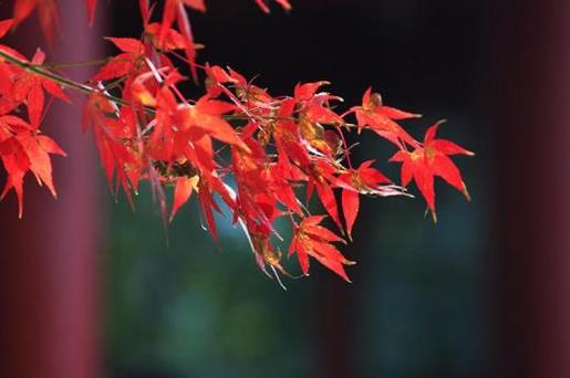 2021年一句话哲理经典签名最新版 “我的微笑像不像她。