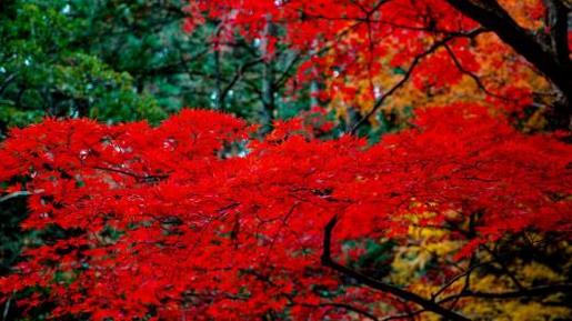 2021新年秀恩爱的甜蜜个性签名_总结失败里面的教训，